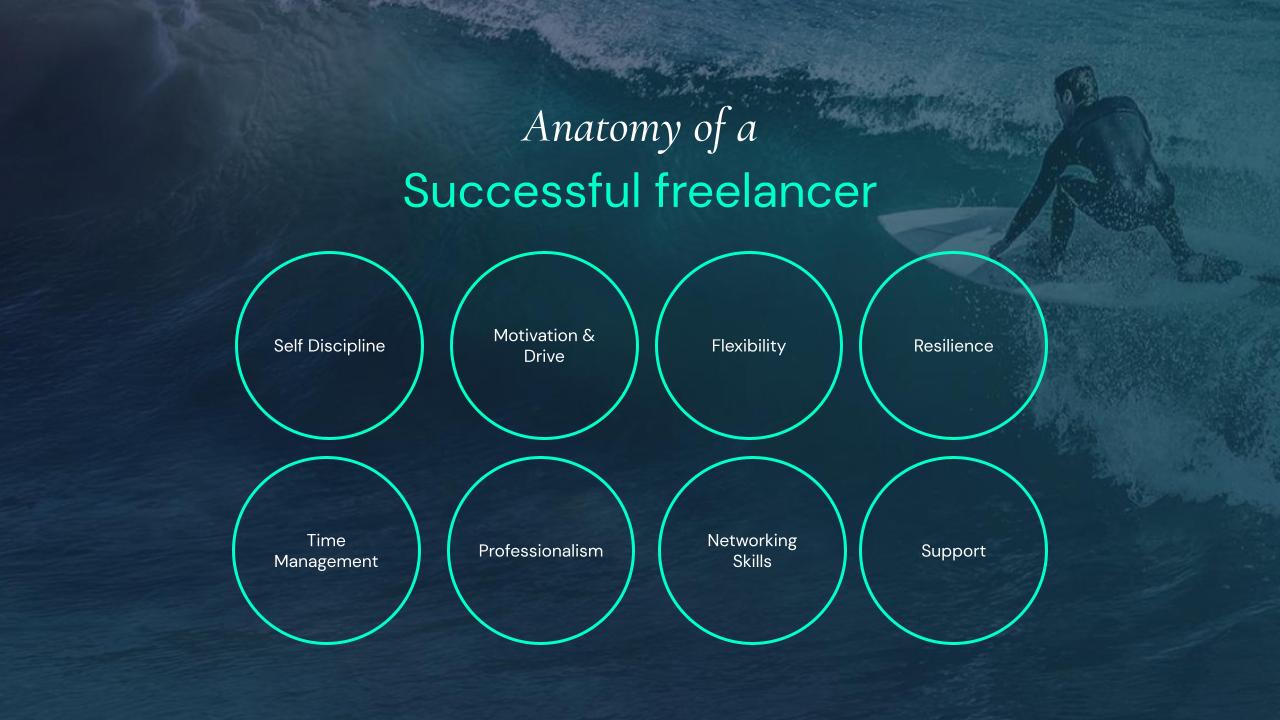 Anatomy of a successful freelancer